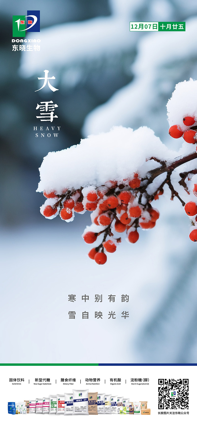 今日大雪 | 寒中别有韵，雪自映光华(图2)