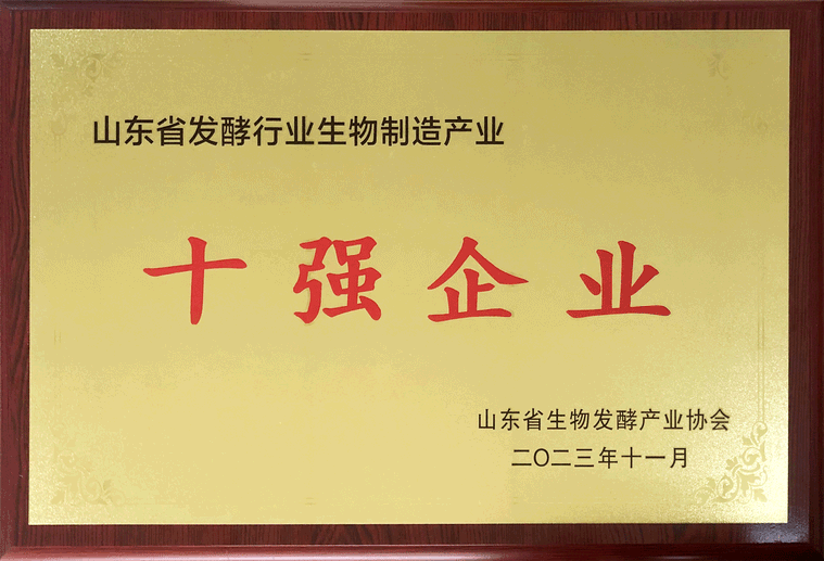 喜报！尊龙凯时生物荣获山东省发酵行业生物制造产业“十强企业”等多项荣誉 (图2)